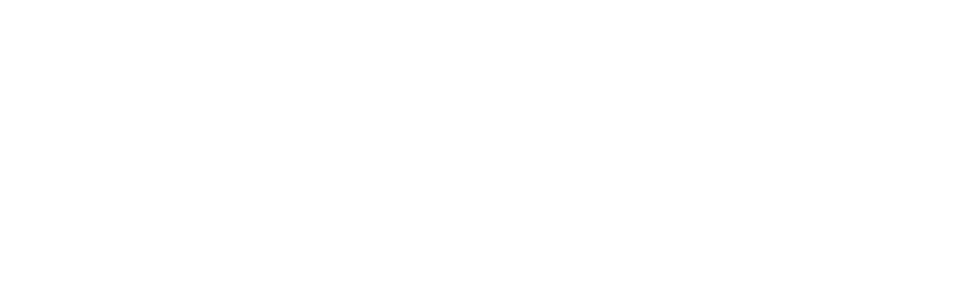 Zirpel Insurance Services, home